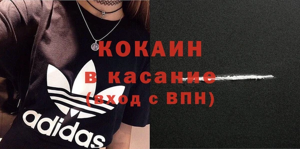индика Лихославль