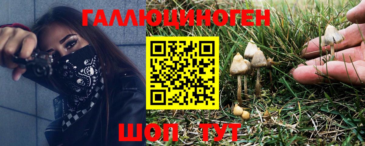 Псилоцибиновые грибы ЛСД Камень-на-Оби