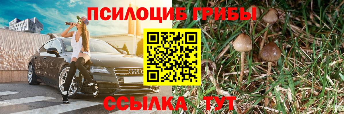 Псилоцибиновые грибы прущие грибы Камень-на-Оби