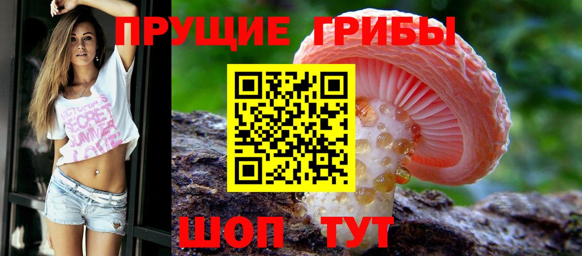 Камень-на-Оби  Галлюциногенные грибы мухоморы  Вход с VPN 