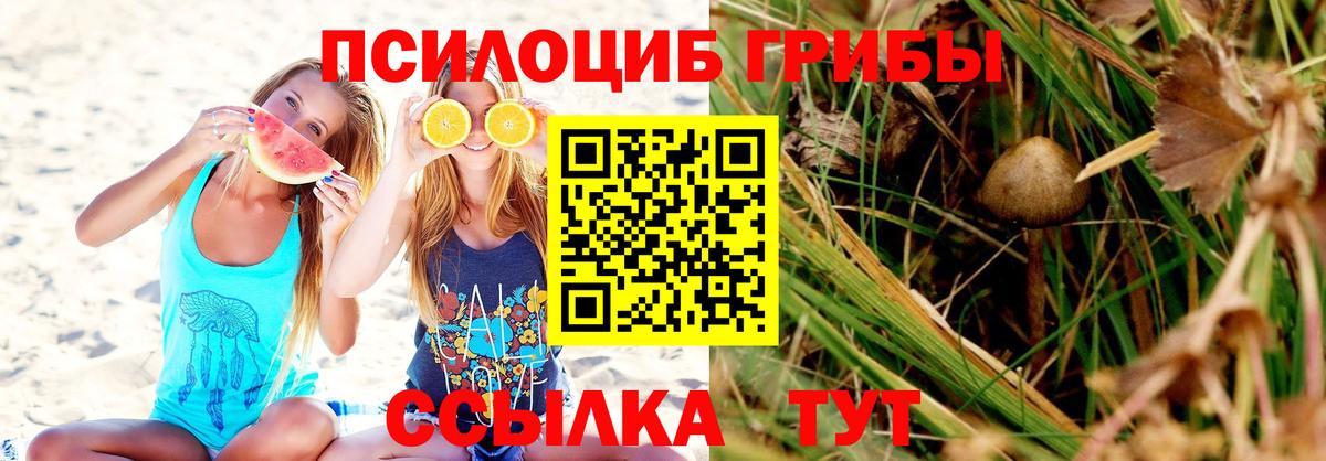 Галлюциногенные грибы прущие грибы  купить   Камень-на-Оби 